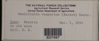 Image Associated With the Occurence
